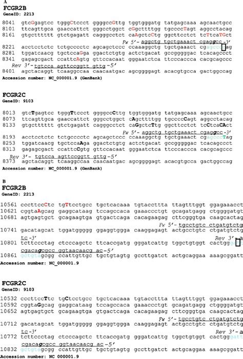 Comparison Of FCGR2B And FCGR2C DNA Sequences Primers Used By Pan Et