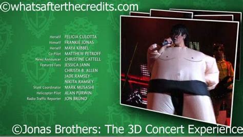 Jonas Brothers The 3D Concert Experience 2009 Whats After The