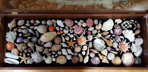 Brilliant Ways To Display Collections Rock Collection Display