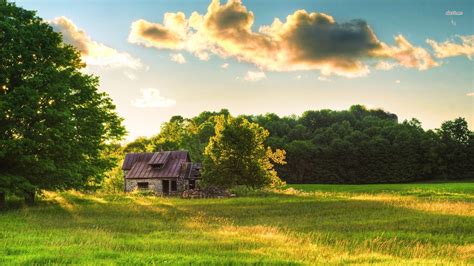 Field Stone Wallpaper Wallpapersafari