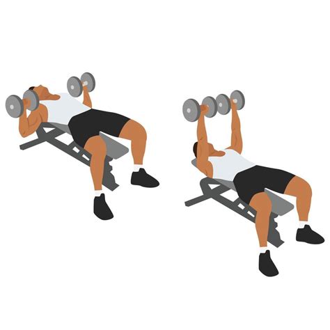 Man Doing Dumbbell Flat Bench Press Chest Exercise Flat Vector Illustration Isolated On White