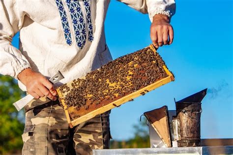 Imker arbeitet mit Bienen und Bienenstöcken am Bienenhaus Bienen auf