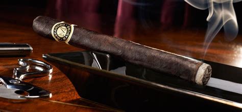 Best Rated Cigars 2024 Anny Malina