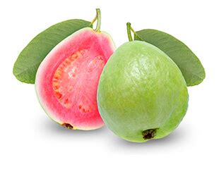 Pink Guava Concentrate – Galla Foods