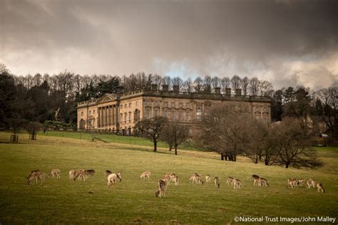 Wentworth Castle Gardens