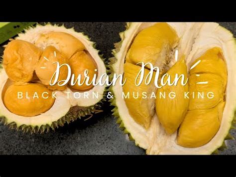 DurianMan SS2 Petaling Jaya Black Thorn Musang King The Best