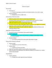 BIO202 Endocrine System Docx BIO202 Endocrine System Endocrine