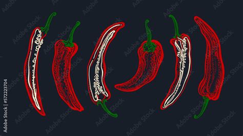 Chili pepper sketch vector set. Hot spicy, food Stock Vector | Adobe Stock