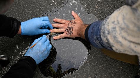 Los alcaldes alemanes explican por qué dan a los activistas climático