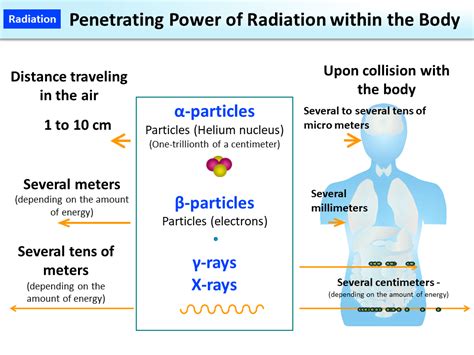 Penetrating Power Of Radiation Within The Body [moe]