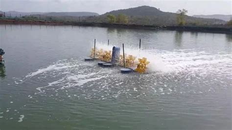 Surface Floating 1hp 8 Impeller Paddle Wheel Aerator For Aquaculture