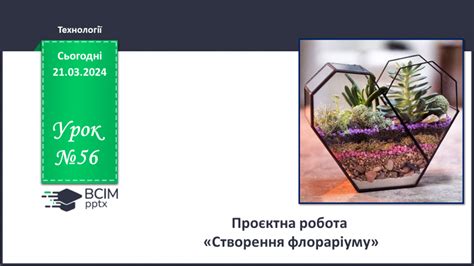 Урок №56 для 5 класу технологічної галузі "Технології" за І. Ходзицькою ...