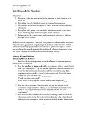 Understanding Human Reflex Physiology In Neurobiology Course Hero