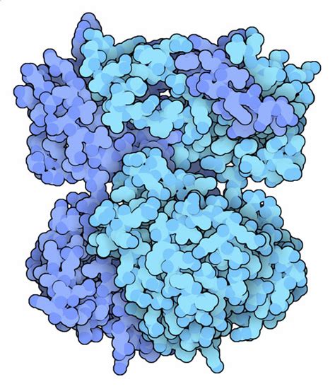 Pdb 101 Learn Structural Biology Highlights Scavenger Decapping Enzyme Dcps