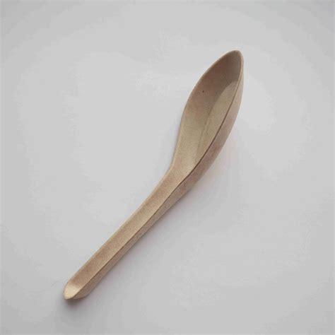 Compostable Spoon Chinese Soup Spoon