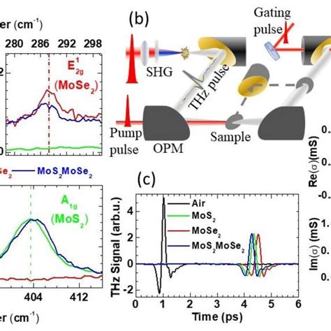 Characterization And Opticalthz Experiments On Mos2 Monolayer Mose2 Download Scientific