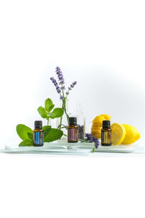 Doterra Introductory Kit Dōterra Essential Oils Home Essential Oils