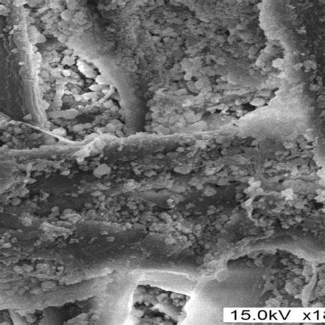 In Situ Precipitation Of Calcium Carbonate Download Scientific Diagram