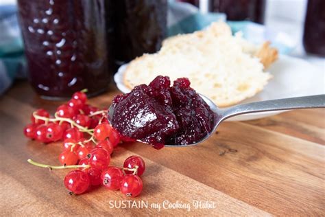 Red Currant Jam Recipe - Sustain My Cooking Habit