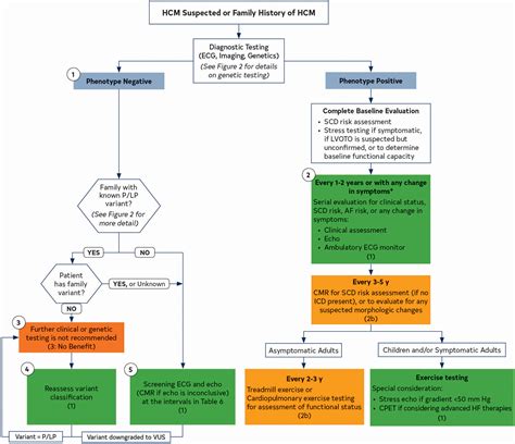 2024 Aha Acc Amssm Hrs Paces Scmr Guideline For The Management Of