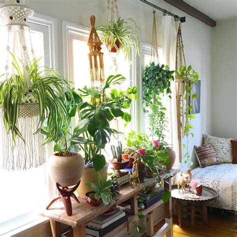 15 beautiful window plants ideas that will freshen up your house ...