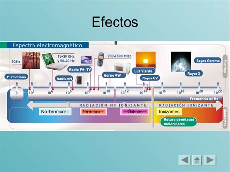 Efectos De La Radiaci N En Los Seres Vivos Ppt