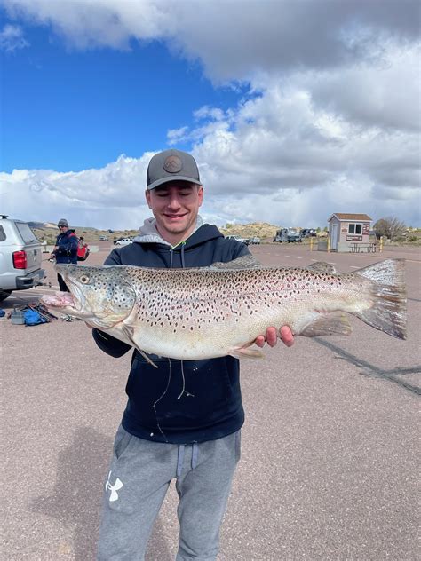 Eleven Mile Reservoir Fishing