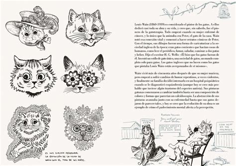 Libro Historia De Un Gato De Laura Agustí Cote Sud Shop