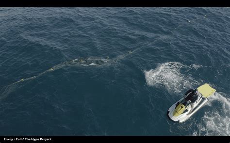 Humane Society International Condemns Queensland Shark Nets As Humpback