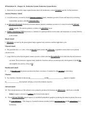 Ip Ch Endocrine System Review Docx Bio Ip Worksheet