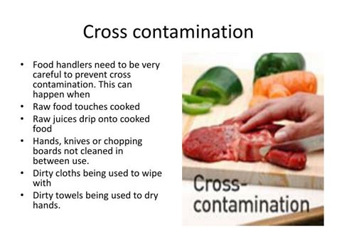 Ppt Conditions For Bacterial Growth Powerpoint Presentation Id 6298189