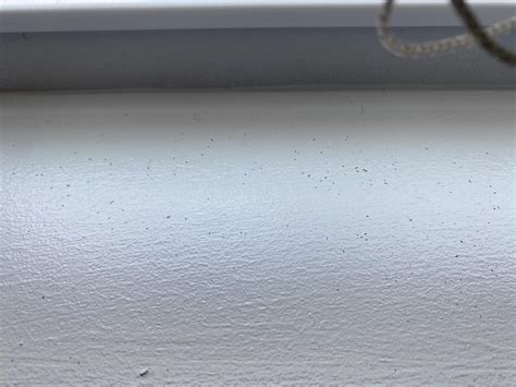 Termite Holes Droppings Rtermites