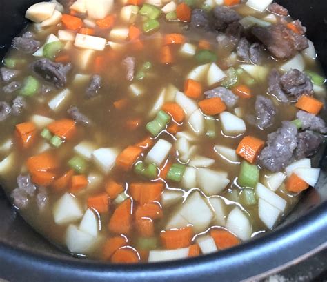 Best Insta Pot Beef Stew Creative Lifestyles