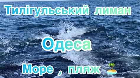 Тилігульський лиман. Одеса. Ситуація на морі та пляжі. - YouTube