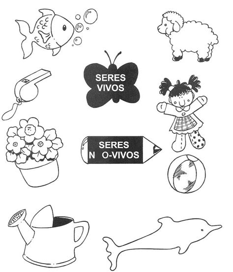 Pin Em Ciencias Naturales Primaria