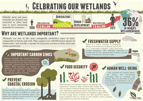 Wetland Poster Ideas