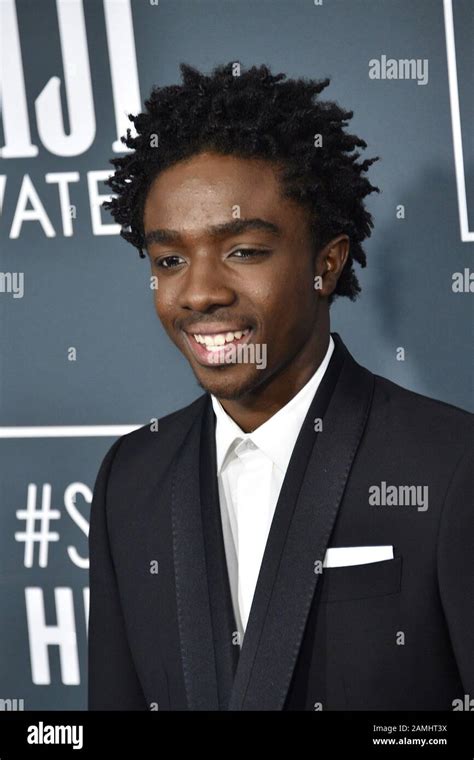 Caleb Mclaughlin Portrait Hi Res Stock Photography And Images Alamy