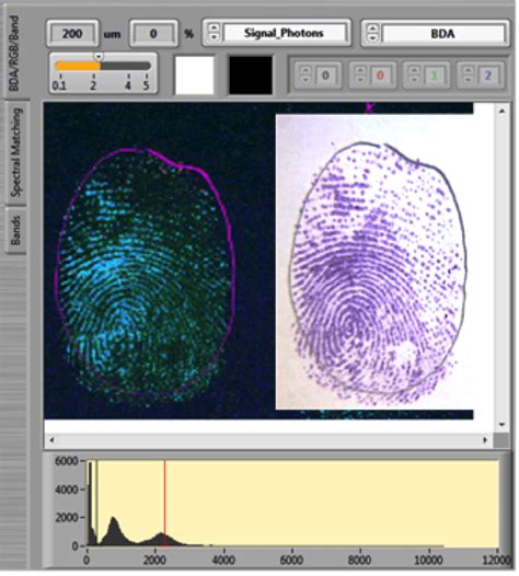 Fingerprint analysis - NicoletCZ