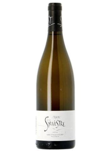 Saint Sylvestre Blanc 2021 Vincent Guizard Les Passionnés du Vin