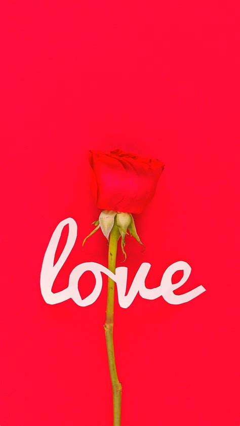 8k Love Wallpapers Top Free 8k Love Backgrounds Wallpaperaccess