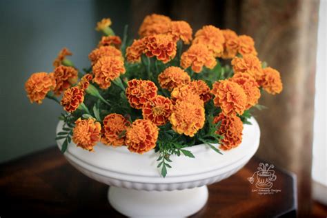 The Marigold Centerpiece In Four Easy Steps Lori Kennedy Quilts