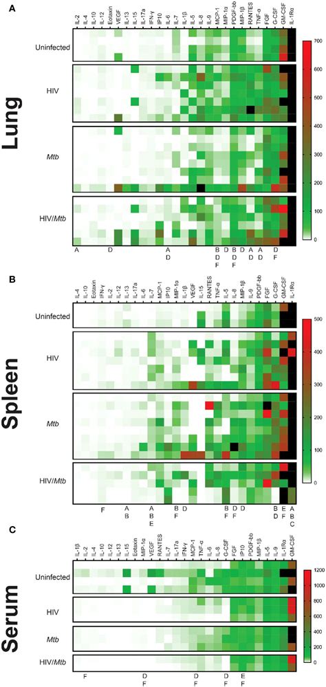 Frontiers A Novel Humanized Mouse Model For Hiv And Tuberculosis Co