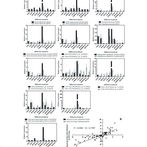 Verification Of Rna Seq Analysis By Qrt Pcr A Relative Expression