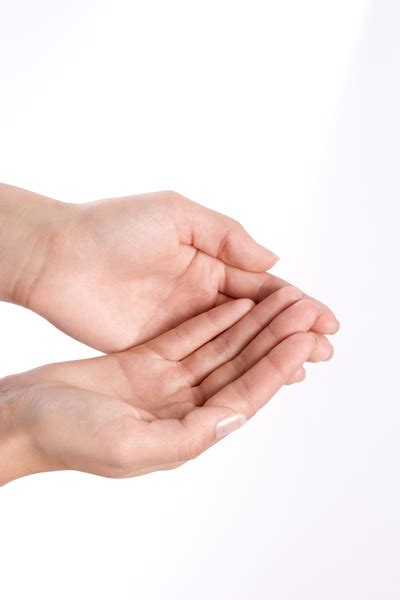Generous Gesture Womans Cupped Hands Free Photo Download Freeimages