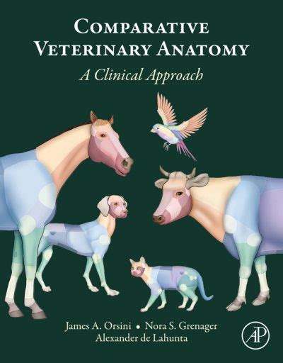 Veterinary Anatomy | VetBooks