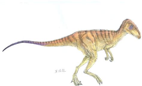 Herrerasaurus Pictures & Facts - The Dinosaur Database