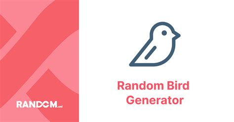 Random Bird Generator | Random.onl