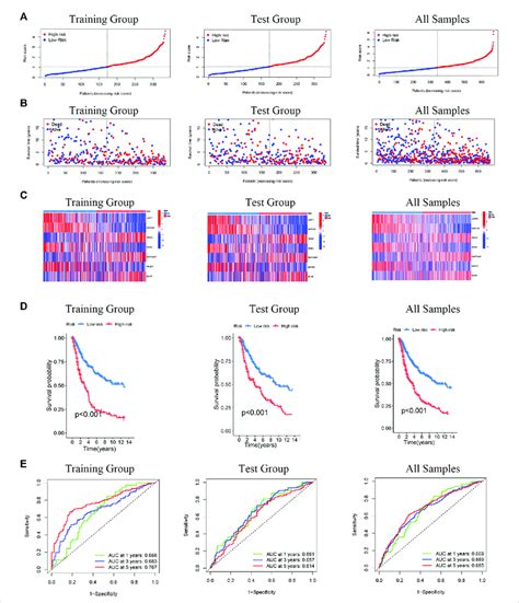 Prognostic Evaluation Of Cuproptosis Related Differential Genes