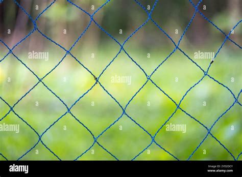 Blue Thick Yarn Fence Blurred Vegetable Garden Nature Green Background