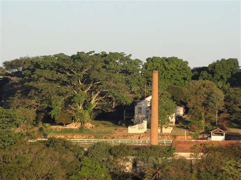 Tudo Sobre O Munic Pio De Santo Ant Nio De Posse Estado De Sao Paulo